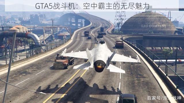 GTA5战斗机：空中霸主的无尽魅力