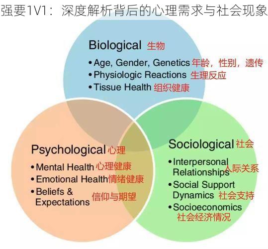 强要1V1：深度解析背后的心理需求与社会现象