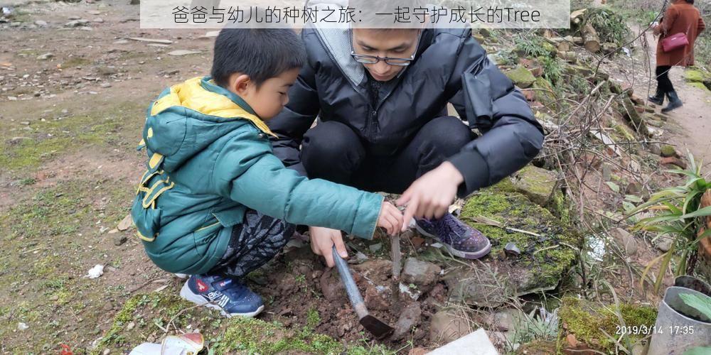 爸爸与幼儿的种树之旅：一起守护成长的Tree