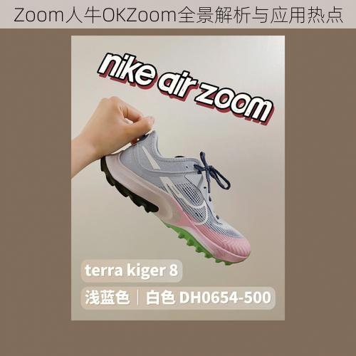 Zoom人牛OKZoom全景解析与应用热点