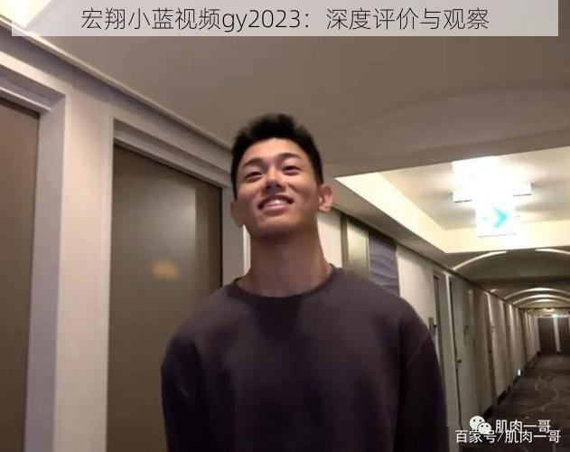 宏翔小蓝视频gy2023：深度评价与观察