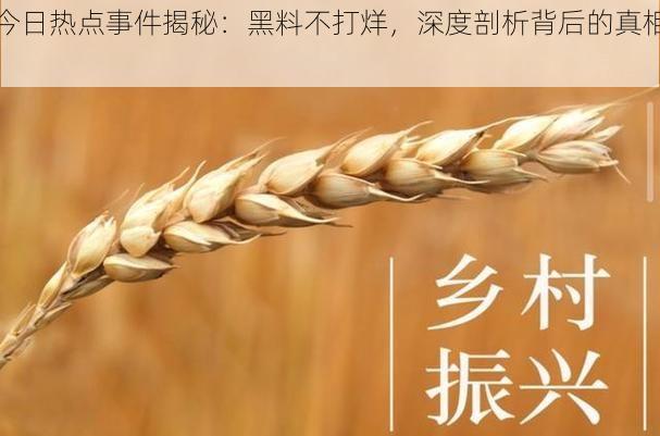 今日热点事件揭秘：黑料不打烊，深度剖析背后的真相！