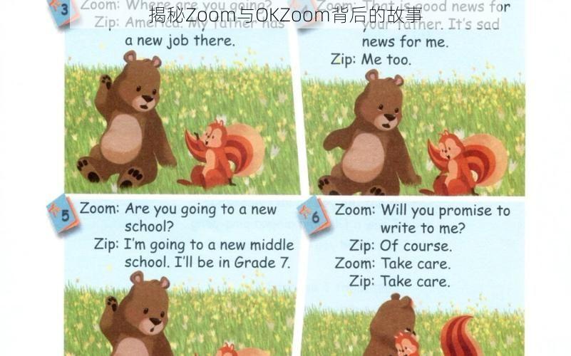 揭秘Zoom与OKZoom背后的故事