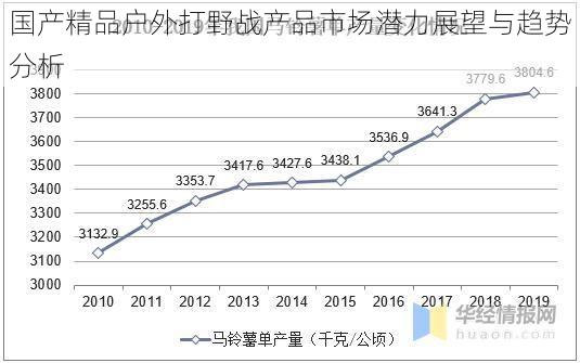 国产精品户外打野战产品市场潜力展望与趋势分析