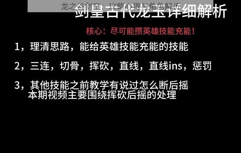 龙之谷剑皇：攻略心得与角色解析