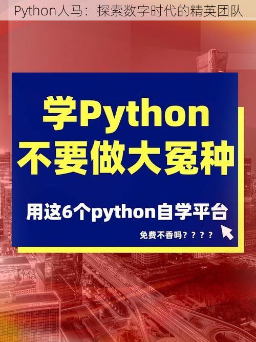 Python人马：探索数字时代的精英团队