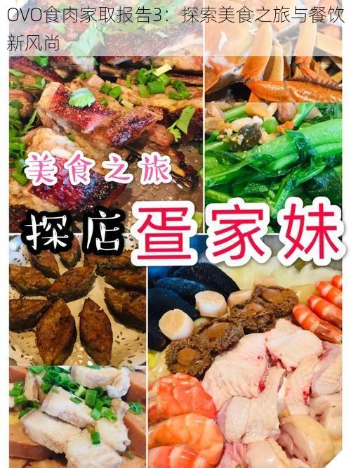 OVO食肉家取报告3：探索美食之旅与餐饮新风尚