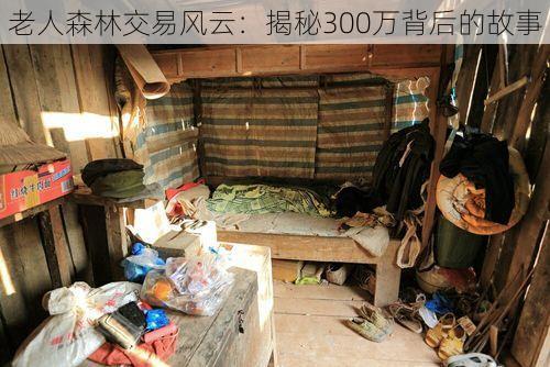 老人森林交易风云：揭秘300万背后的故事