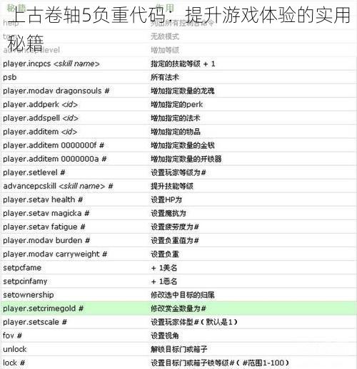 上古卷轴5负重代码：提升游戏体验的实用秘籍