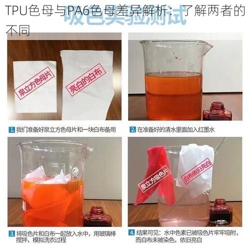 TPU色母与PA6色母差异解析：了解两者的不同