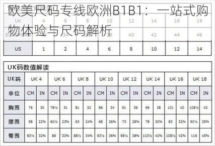 欧美尺码专线欧洲B1B1：一站式购物体验与尺码解析