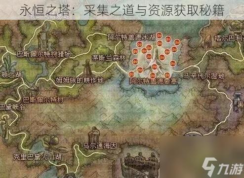 永恒之塔：采集之道与资源获取秘籍