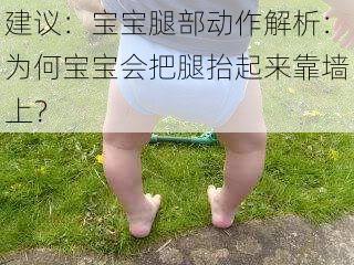 建议：宝宝腿部动作解析：为何宝宝会把腿抬起来靠墙上？