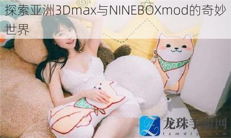 探索亚洲3Dmax与NINEBOXmod的奇妙世界