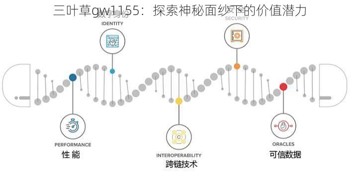 三叶草gw1155：探索神秘面纱下的价值潜力