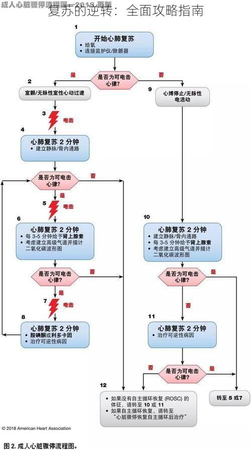 复苏的逆转：全面攻略指南