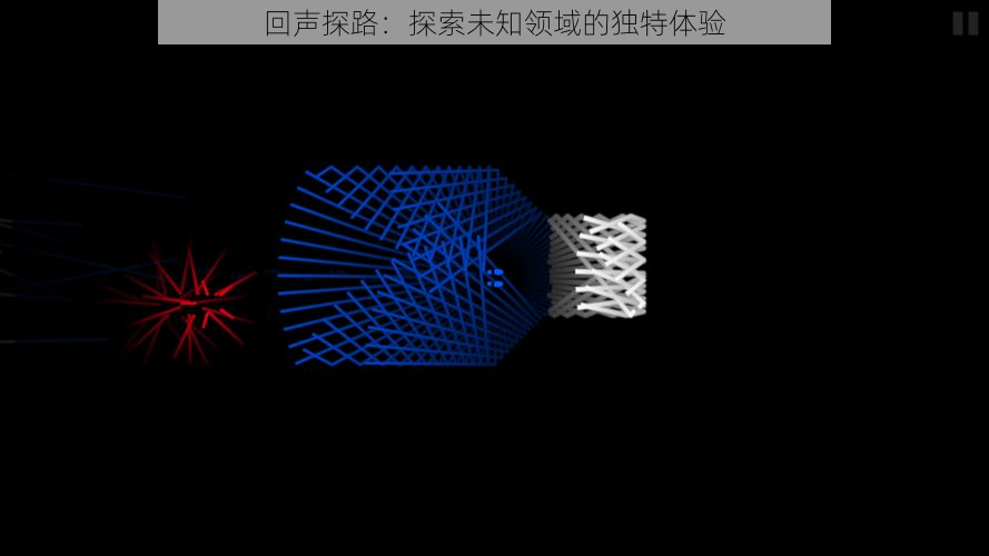 回声探路：探索未知领域的独特体验