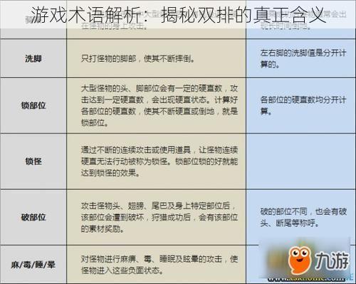 游戏术语解析：揭秘双排的真正含义