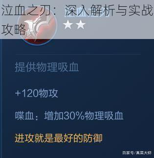 泣血之刃：深入解析与实战攻略