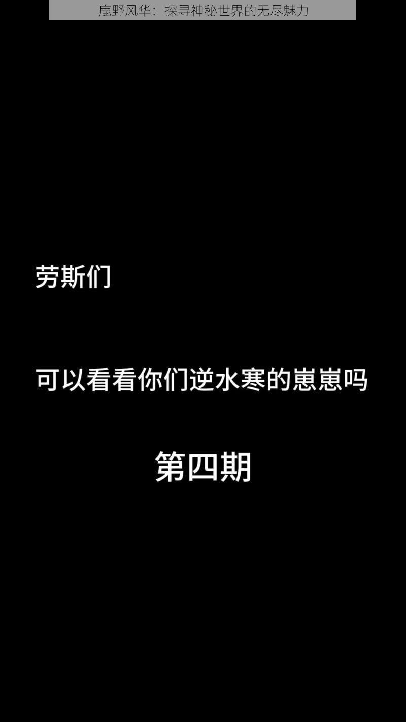 鹿野风华：探寻神秘世界的无尽魅力