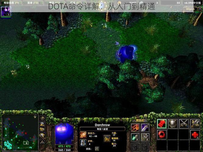 DOTA命令详解：从入门到精通