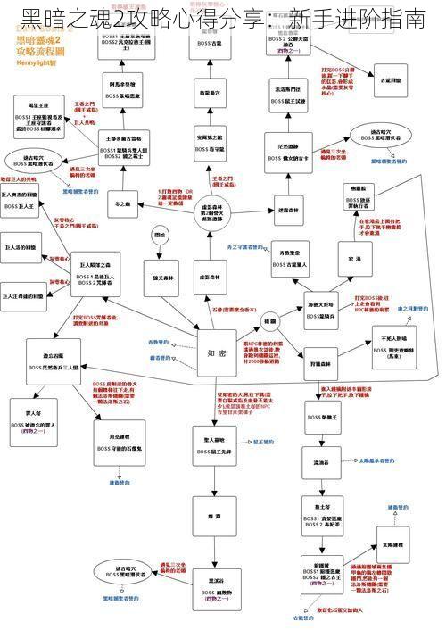 黑暗之魂2攻略心得分享：新手进阶指南