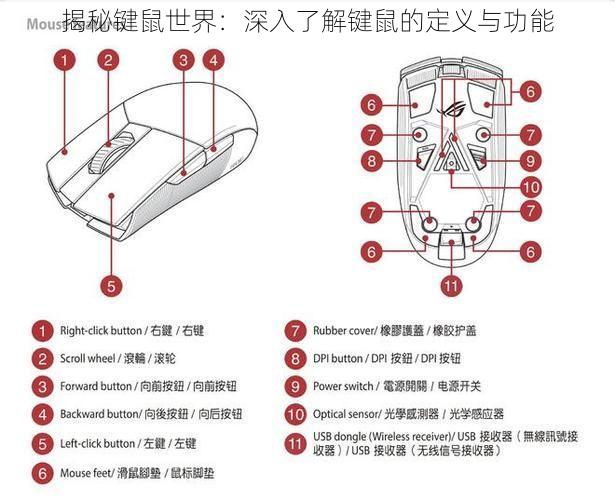 揭秘键鼠世界：深入了解键鼠的定义与功能