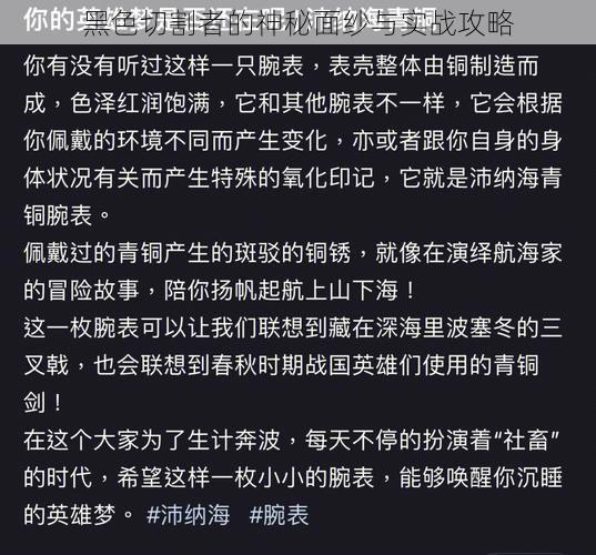 黑色切割者的神秘面纱与实战攻略