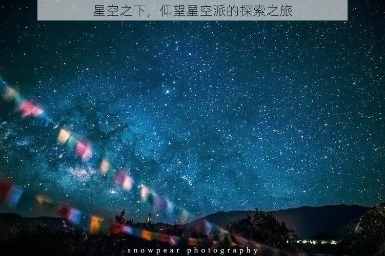 星空之下，仰望星空派的探索之旅