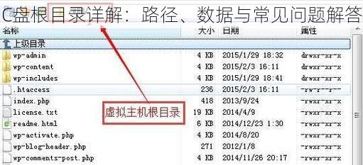 C盘根目录详解：路径、数据与常见问题解答