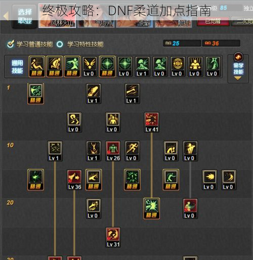 终极攻略：DNF柔道加点指南