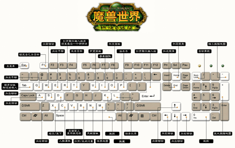 魔兽无敌秘籍攻略大全