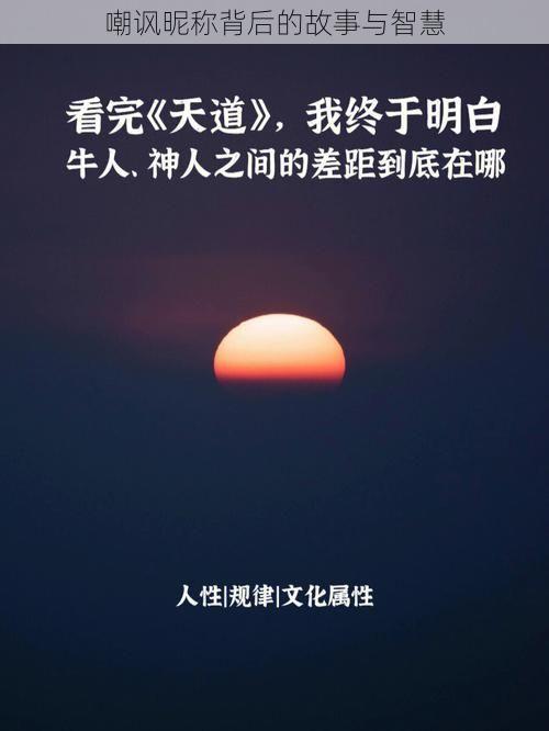 嘲讽昵称背后的故事与智慧