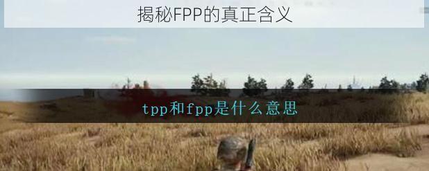 揭秘FPP的真正含义