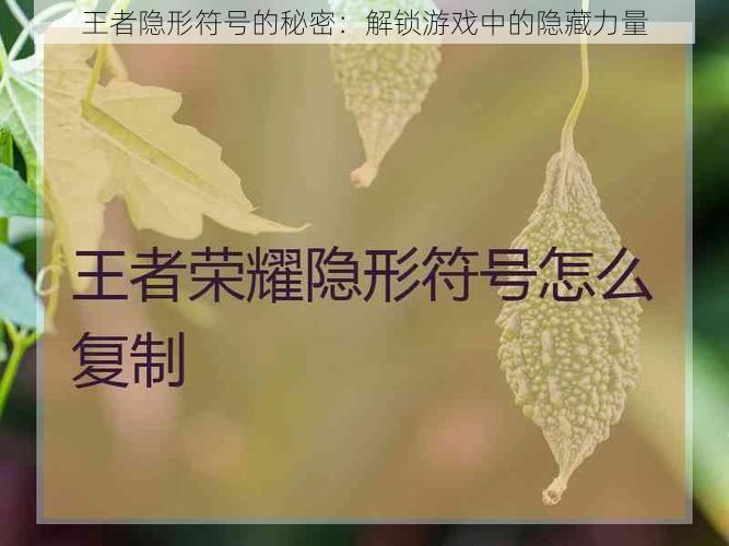 王者隐形符号的秘密：解锁游戏中的隐藏力量