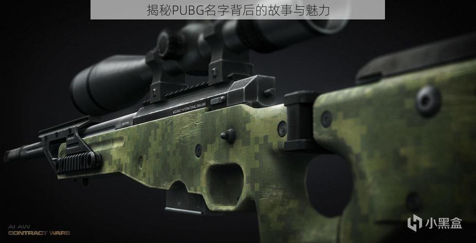 揭秘PUBG名字背后的故事与魅力