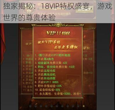 独家揭秘：18VIP特权盛宴，游戏世界的尊贵体验