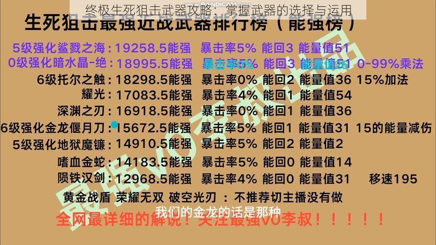 终极生死狙击武器攻略：掌握武器的选择与运用